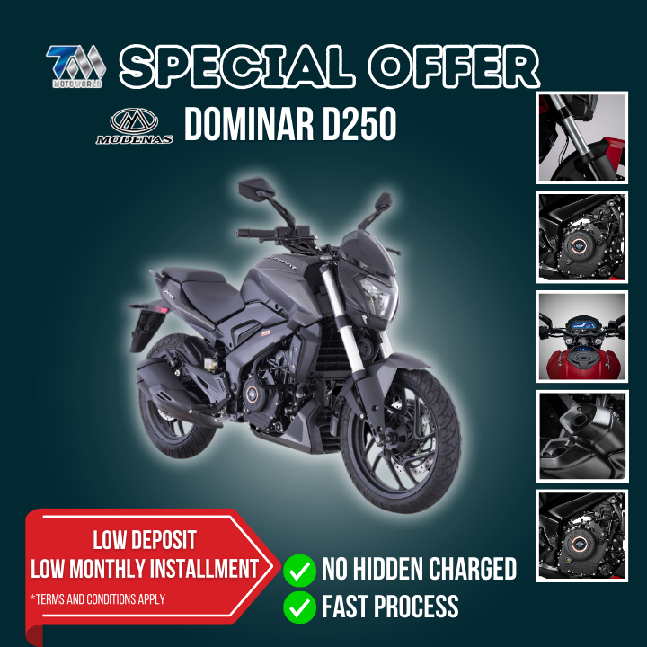 Modenas Dominar D250