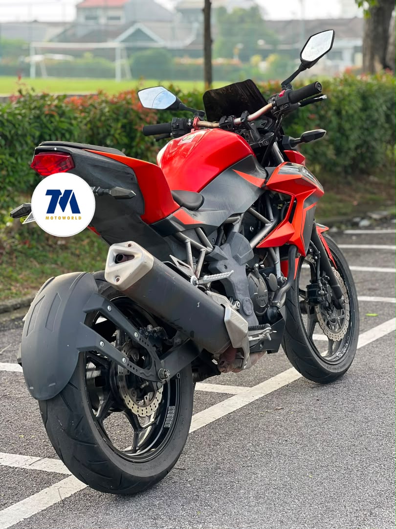 2015 Kawasaki Z250SL - Image 3